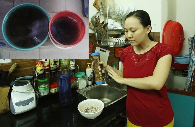 Hãi hùng ký sinh trùng lổm ngổm trong nước sinh hoạt ở khu đô thị Hà Nội