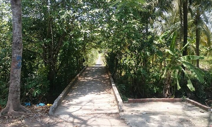 Bị điều tra, phó giám đốc ra nghĩa trang thề độc: 'Nếu gian dối thì xe cán chết'