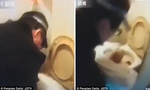 Trung Quốc: Đẻ rơi con xuống bồn cầu vì không biết mình đang mang thai