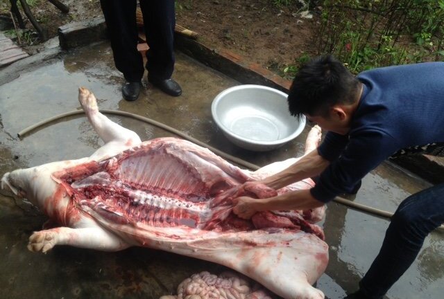 1kg thịt lợn bằng 2 cốc trà đá: Vật vã tự giải cứu, nông dân tích trữ ăn cả tháng