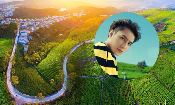 Đồi chè Cầu Đất nơi Sơn Tùng M-TP quay MV mới có gì đặc biệt?