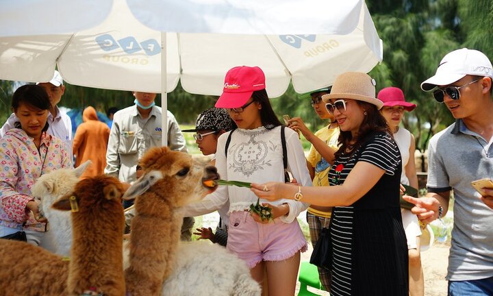 Khách du lịch chen nhau mua vé vào FLC Zoo Safari dịp 30/4