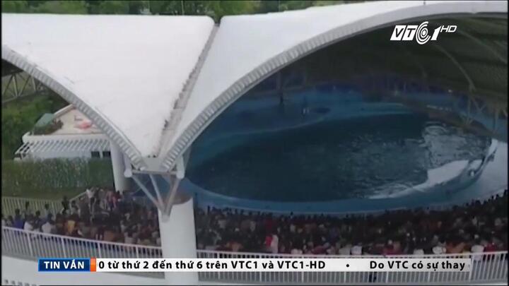 Biển nhân tạo lớn nhất Việt Nam khiến hàng nghìn người thất vọng