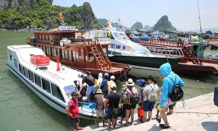 Khách du lịch bị ‘bỏ rơi’ tại Cảng Cái Rồng: Quảng Ninh chỉ đạo làm rõ