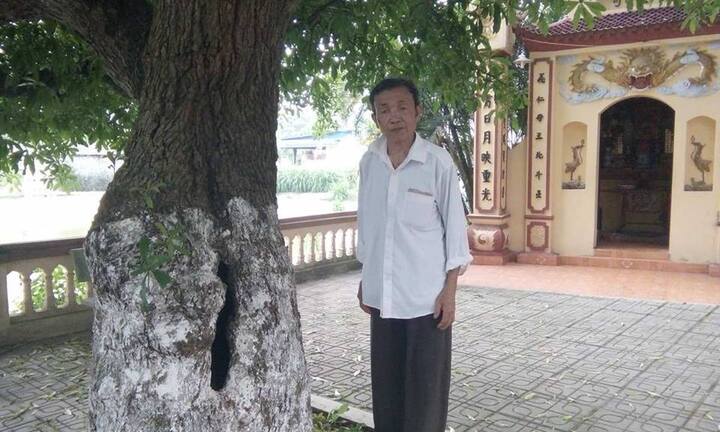 Cây 'báu vật' nghìn năm tuổi được đại gia trả giá chục tỷ đồng không bán ở Đồng Tâm