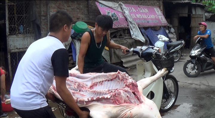 Video: Giá lợn hơi tụt dốc, dân xót xa tự mổ bán bù lỗ