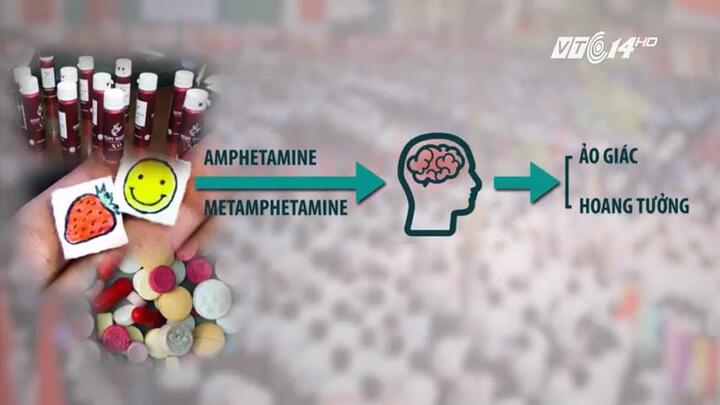 Gần 100 loại ma tuý đang đầu độc học sinh