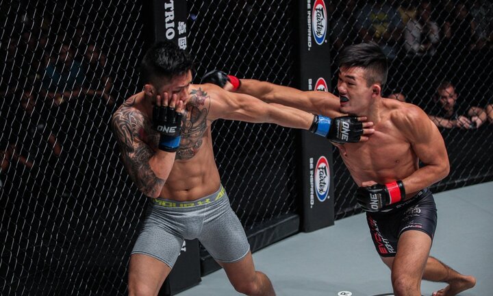 Những pha knock-out khủng khiếp nhất trên sàn đấu MMA