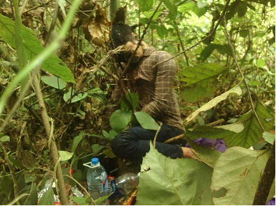 Nam thanh niên treo cổ trong bụi tre