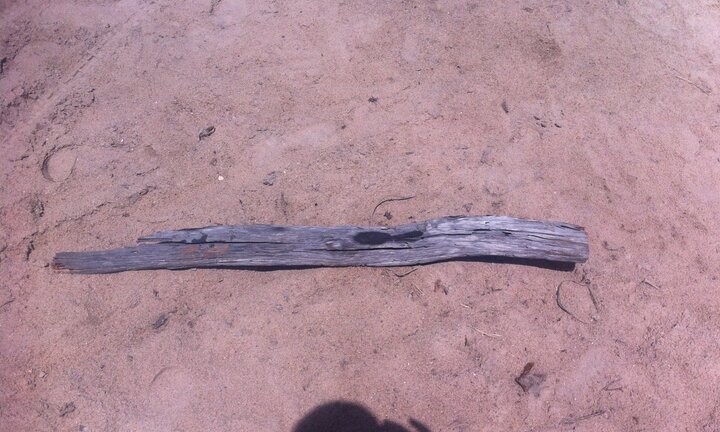 Thầy giáo tiểu học dùng cây gỗ đánh chết người