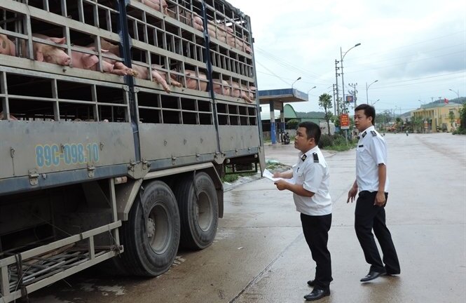 Hà Tĩnh: Trạm kiểm dịch động vật có cũng như không