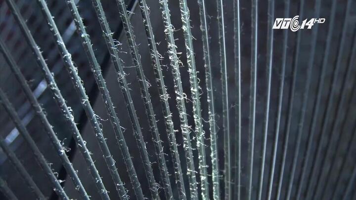 Bụi lạ giống sợi vải bao trùm chung cư khiến người dân hoang mang