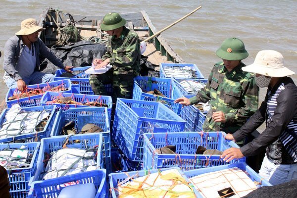 Bắt giữ đối tượng vận chuyển 120 con sam trái phép tại Quảng Ninh