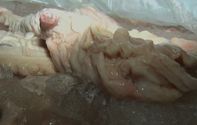 Chặn đứng xe tải chở 3,5 tấn nội tạng bốc mùi hôi thối trên đường đi tiêu thụ