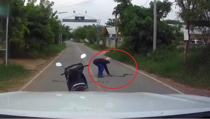 Rắn trườn qua đường bị 'cao thủ' đi xe máy tay không tóm gọn trong chớp mắt