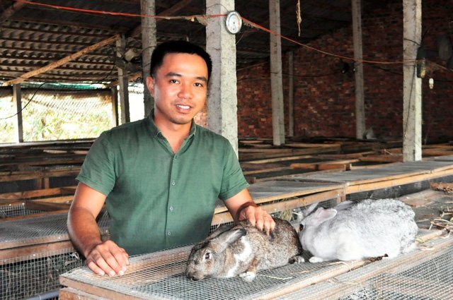 Chàng trai khởi nghiệp từ nghề nuôi thỏ, kiếm trăm triệu mỗi năm