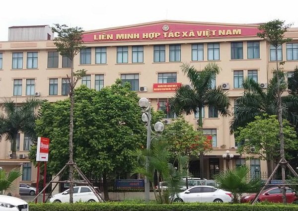 Vinagimex sử dụng con dấu Liên minh HTX Việt Nam để xuất khẩu lao động sang Đài Loan?