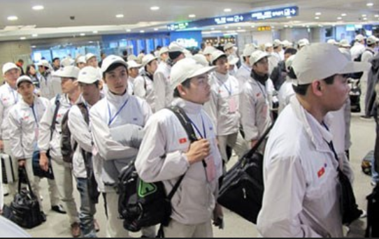 Lao động Việt tại Nhật: Lười học hỏi, ham rượu bia và hay ăn cắp vặt