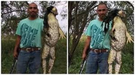 Cận cảnh 'quái vật ếch' khổng lồ to như người mới bị thợ săn Mỹ hạ gục