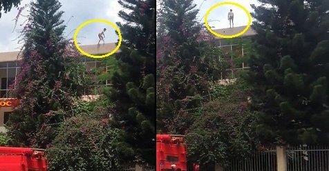 Người đàn ông nhảy từ nóc trụ sở công an xuống đất chết thảm