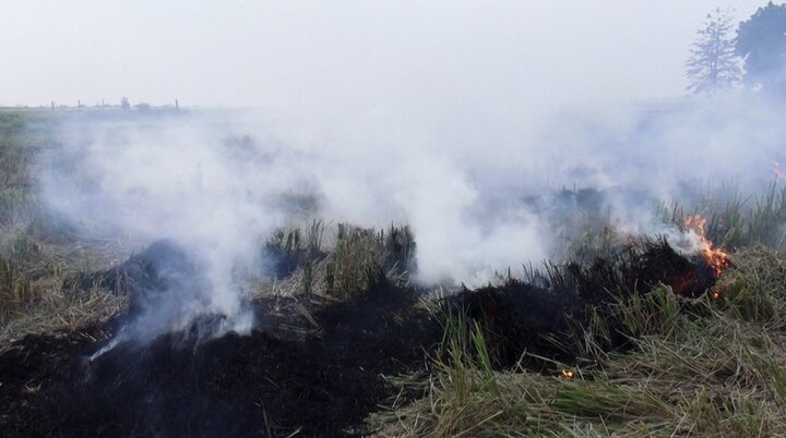Video: Khói rơm rạ mù mịt bủa vây, người đi đường cay mắt, tức ngực