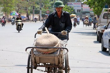 Ảnh: Những cảnh đời nhọc nhằn mưu sinh trong ngày nắng nóng đổ lửa