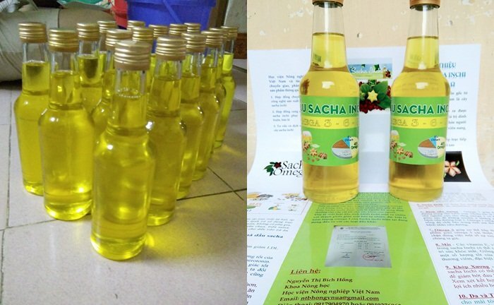 Công bố loạt sản phẩm từ cây siêu thực phẩm Sacha Inchi quý giá tại Việt Nam