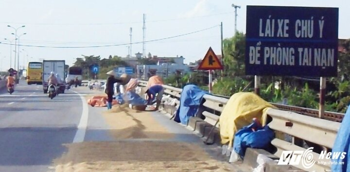Dân 'chiếm' quốc lộ làm sân phơi thóc, xe máy bị đẩy ra 'làm mồi' cho xe tải