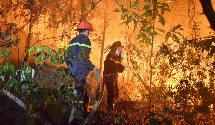 Cháy rừng ở Sóc Sơn Hà Nội: Công an vào cuộc điều tra