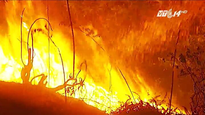 Cháy rừng ở Sóc Sơn Hà Nội: Vì sao đám cháy kéo dài nhiều giờ?