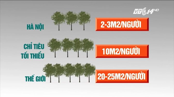 Số liệu bất ngờ: Hà Nội thiếu cây xanh trầm trọng