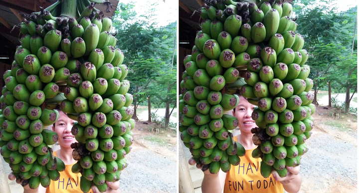 Đổ xô đi xem buồng chuối 'sinh đôi' ở Nghệ An