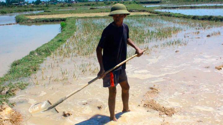 Mất mùa chưa từng có ở Hà Tĩnh, Sở bảo tại dân