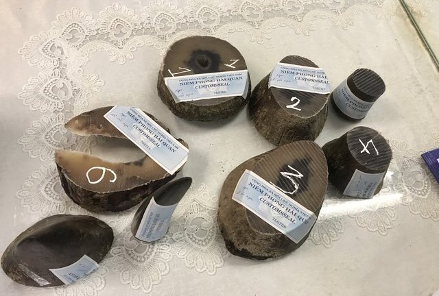 TP. HCM: Túi hành lý chứa sừng tê giác trắng trị giá 8 tỷ đồng