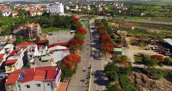 Ngắm nhìn con đường hoa phượng dài nhất Việt Nam từ trên cao