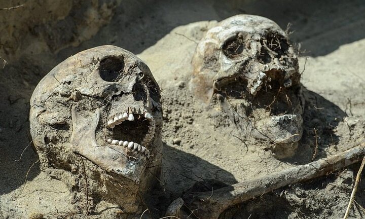 Phát hiện hàng trăm bộ hài cốt 'gào thét' trong trận chiến cách đây 150 năm