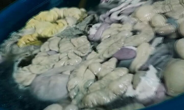 Rùng rợn với công nghệ 'hô biến' lòng bẩn, hôi thối Trung Quốc thành màu trắng tinh