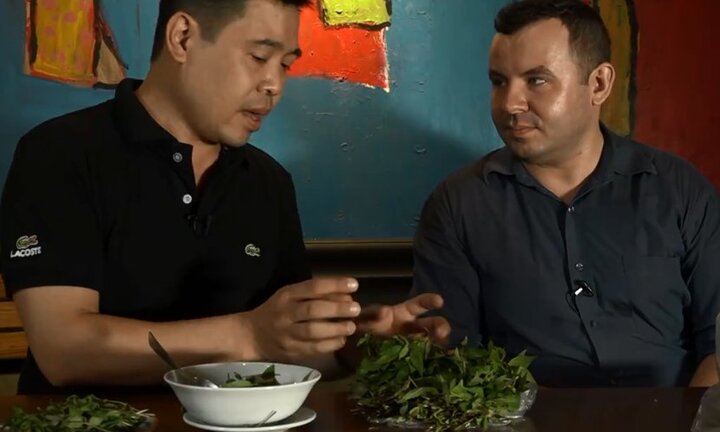 Khám phá thú vị: Vì sao người Việt Nam thích ăn rau răm?