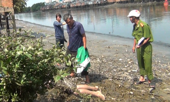 Đi cắt cỏ, tá hỏa phát hiện thi thể người phụ nữ đang phân hủy