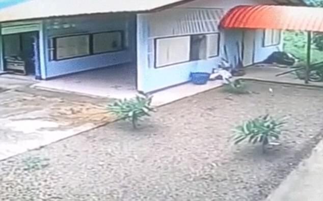 Video: Tên trộm ngốc nghếch khổ sở đột nhập gara bỏ hoang