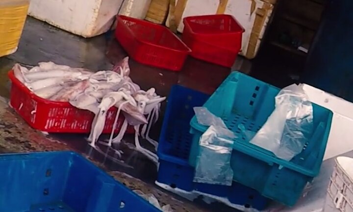 Nhẫn tâm đầu độc người dân bằng công nghệ 'hô biến' mực thối bỏ đi thành mực trắng phau, tươi ngon