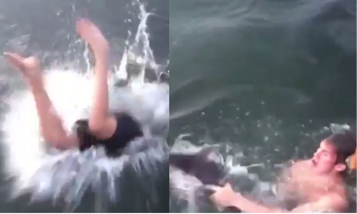 Thót tim khoảnh khắc nam thanh niên tay không bắt cá mập