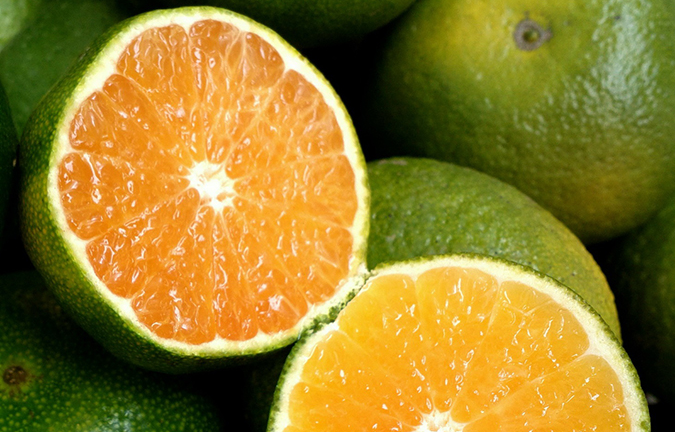 Chế tạo màng sinh học PVA bảo quản cam tươi lên tới 20 ngày