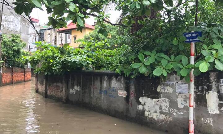 Video: Mưa lớn giữa trưa, đường phố Hà Nội ngập sâu