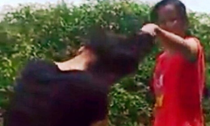 Phẫn nộ clip thiếu nữ bị bạn túm tóc tát tới tấp vào mặt