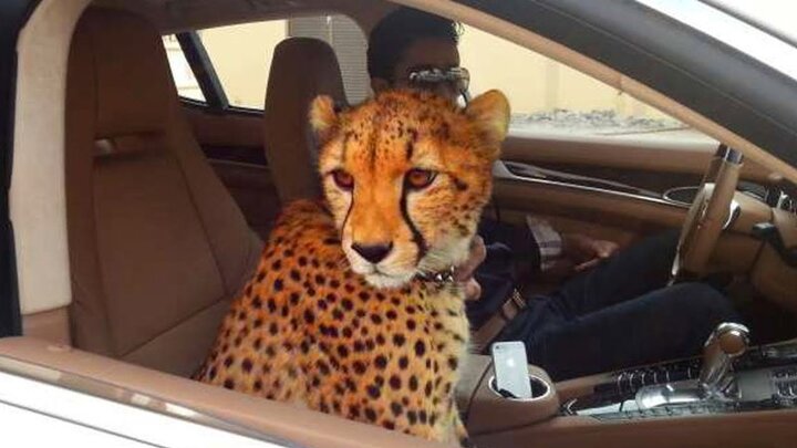 10 thứ xa hoa có một không hai ở Dubai