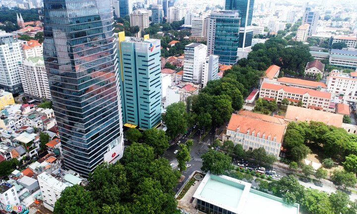 Sắp mất thêm hàng cây cổ thụ, người Sài Gòn tiếc nuối