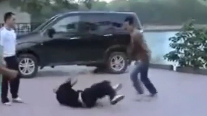 Video: Võ sư Tuấn 'hạc' từng hạ đo ván cao thủ Vịnh Xuân Flores thế nào?