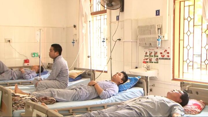 Hái nấm mọc trong vườn để ăn, 12 người ở Sơn La suýt mất mạng