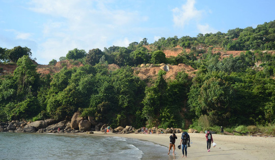 Đại biểu Quốc hội: Bảo tồn Sơn Trà sẽ 'đẻ' ra tiền bền vững